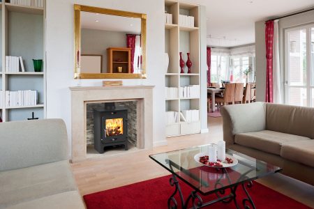 Ekol Stoves Clarity 5 2